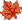 maple.gif (222 bytes)